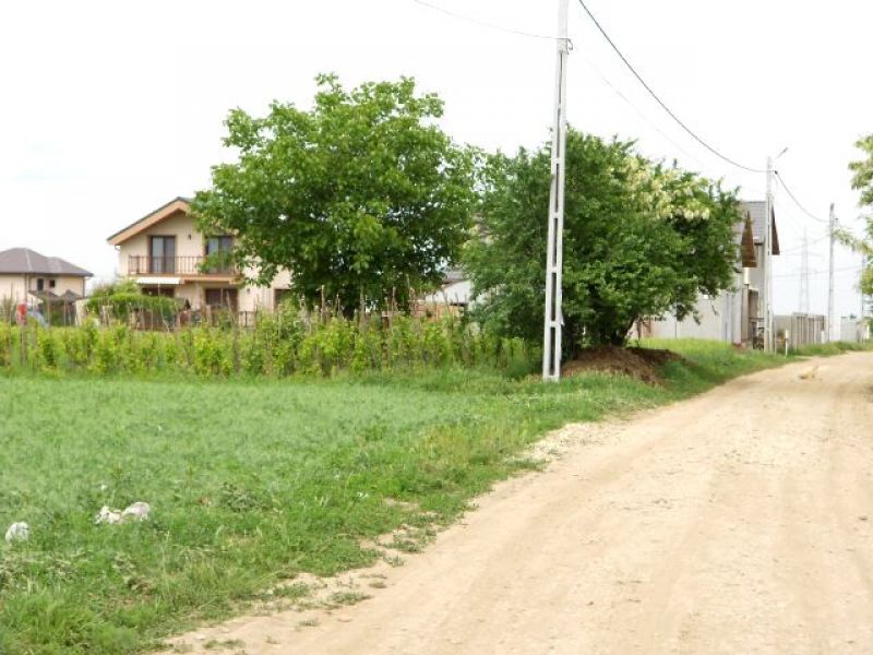 Vanzare terenuri in Comuna Berceni Ilfov