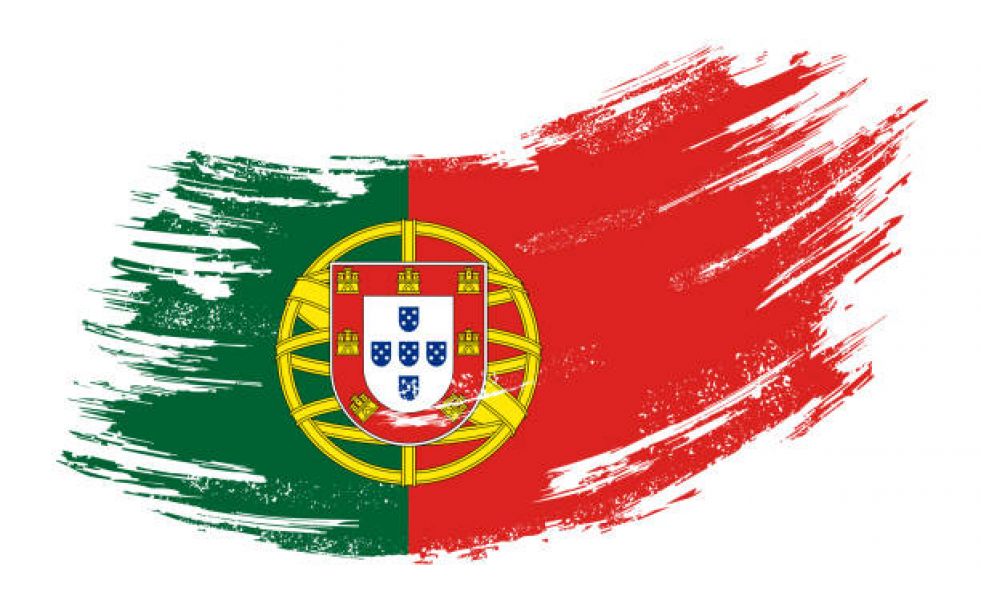 Traducator-interpret portugheza-engleza-franceza - Traduceri portugheza-franceza 