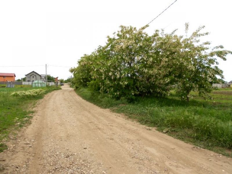 Proprietar - vand loturi de teren in Berceni Ilfov