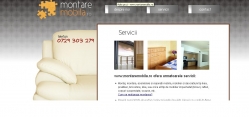 Montaj, asamblare, transport si manipulare mobila, mobilier si decoratiuni