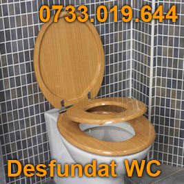 Desfundat toaleta