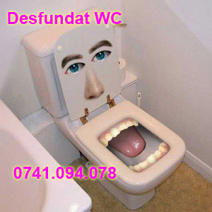 Desfundator WC