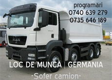 Soferi camion Germania