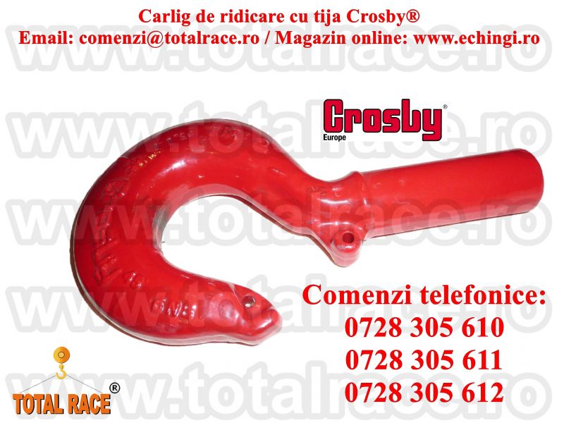 Carlige ridicare cu tija capacitati disponibile de la 0,75 tone pana la 300 de tone