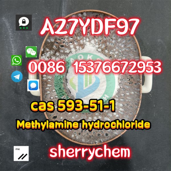 High Purity 99% CAS 593-51-1 Methylamine Hydrochloride