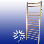 Spalier gimnastica - dimensiune 2. 3 x 0. 85 cm