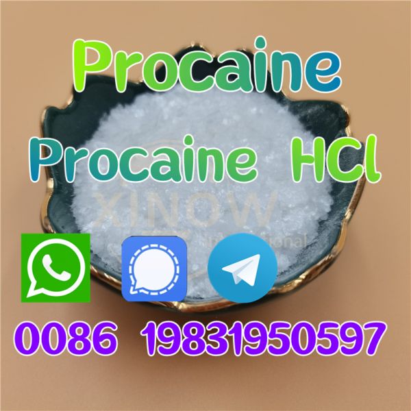  Procaine powder cas 59-46-1,procaine base,procaine China supplier