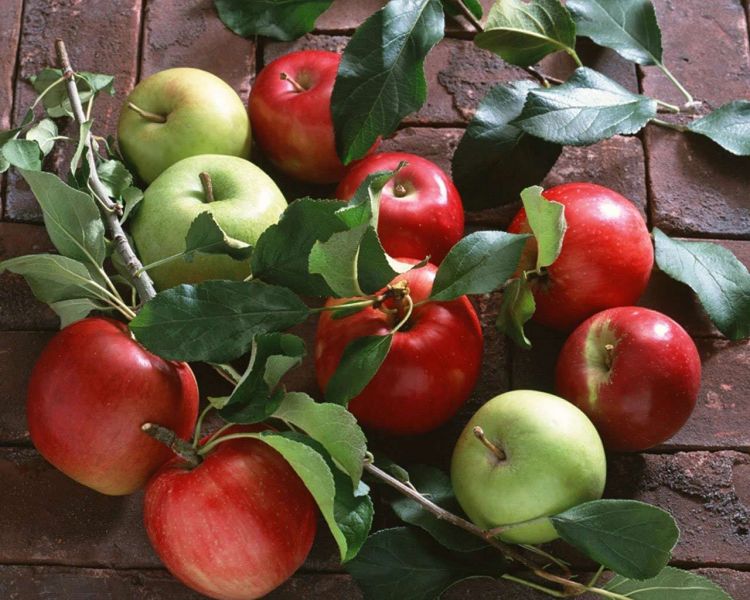Agricultura 1500 euro cules mere germania 