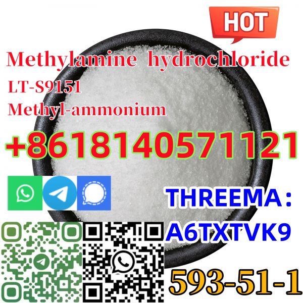 Buy 99% purity Methylamine Hydrochloride cas 593511 for Pharmaceutical20 GEL