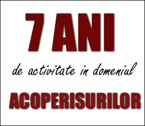 Vindem si montam tabla pentru acoperisuri