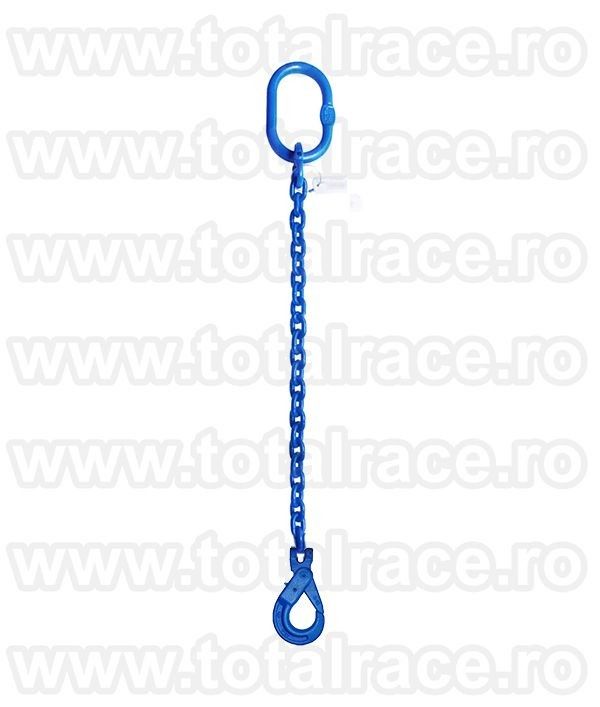 Lanturi si accesorii lant (inele,carlige,cuple,scurtatoare) grad 100