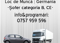Soferi germania