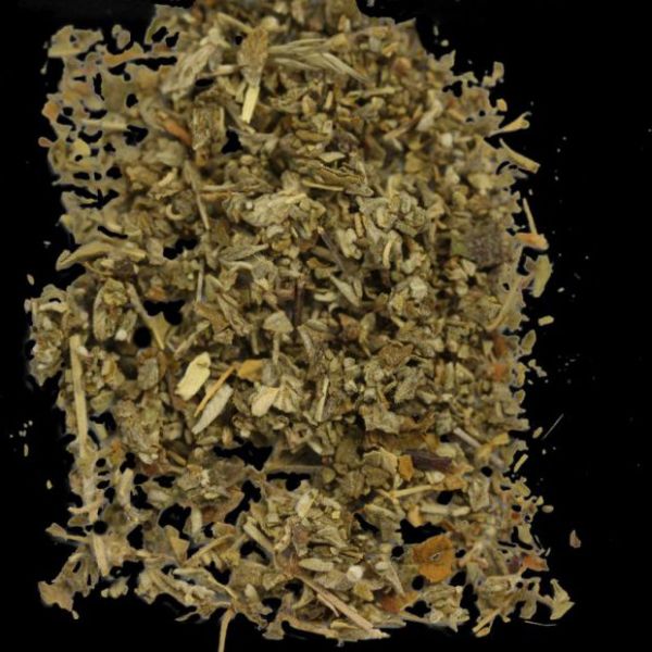 Etnobotanice 2015 2025 strong