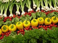 Deschidem sezonul de agricultura in Germania