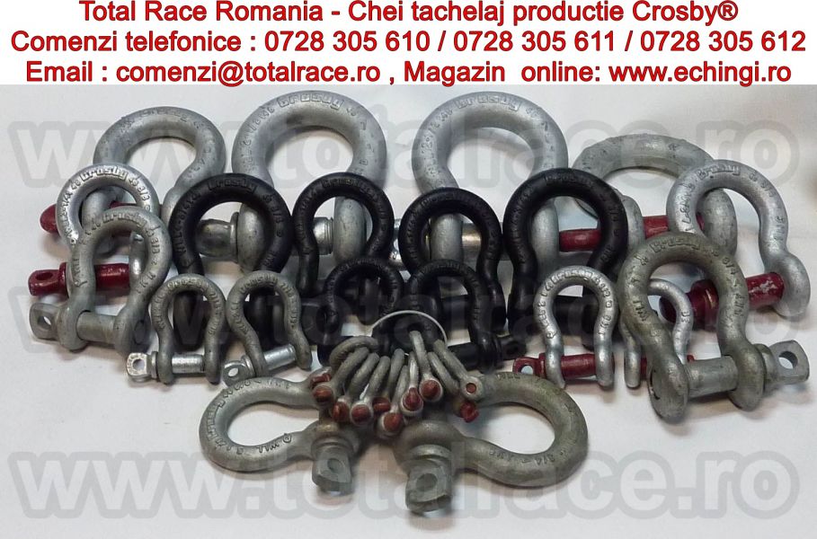 Gambeti / shackles Omega Crosby