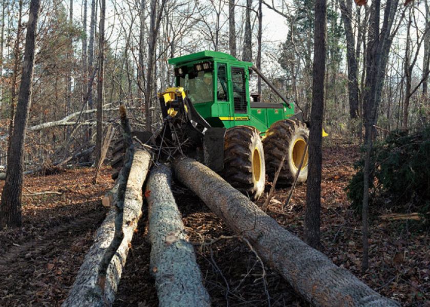 Cautam muncitori domeniul forestier