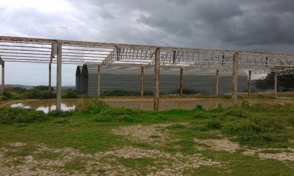 Structuri de hale