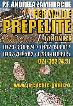 vand pprepelite