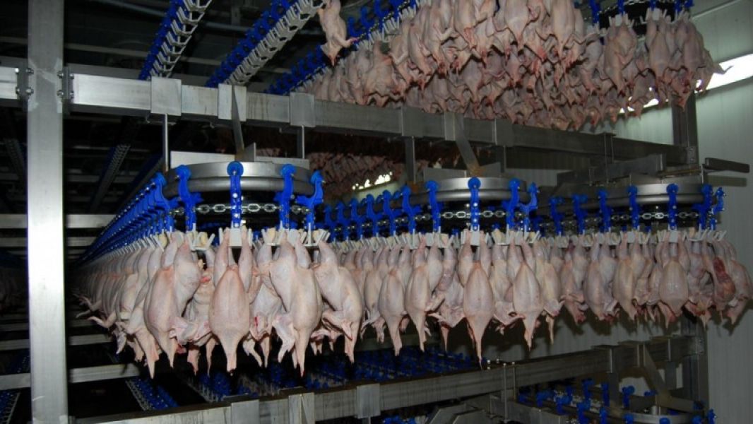 Ambalare carne de pui si curcan 1700 euro