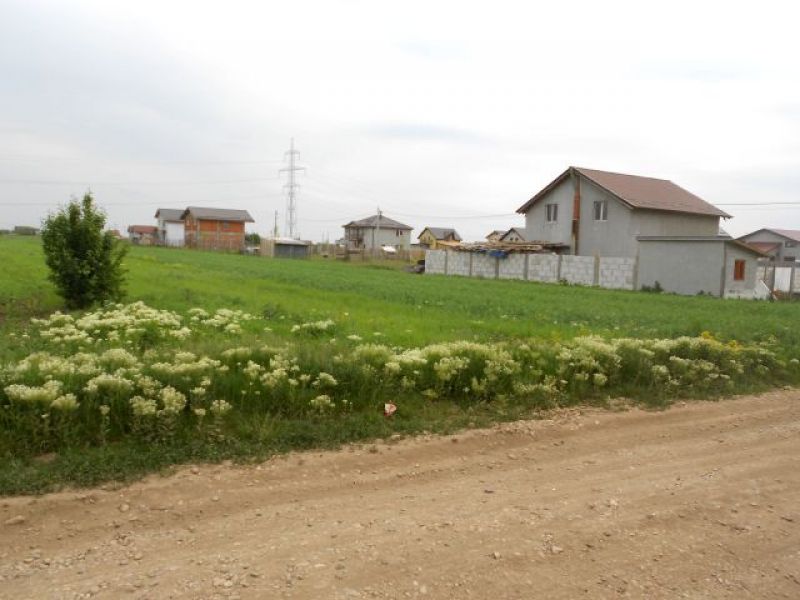 Vanzare terenuri de case in Comuna Berceni Ilfov