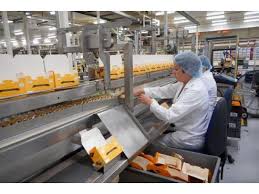Fabrica de biscuiti Germania