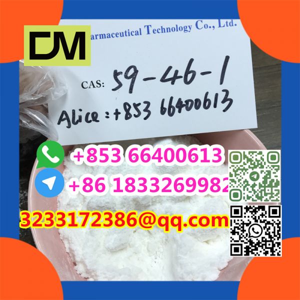 Direct Sales from China Factory CAS 59-46-1 Procaine