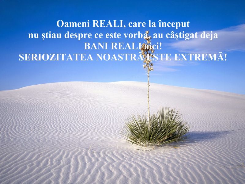 Oferta completa