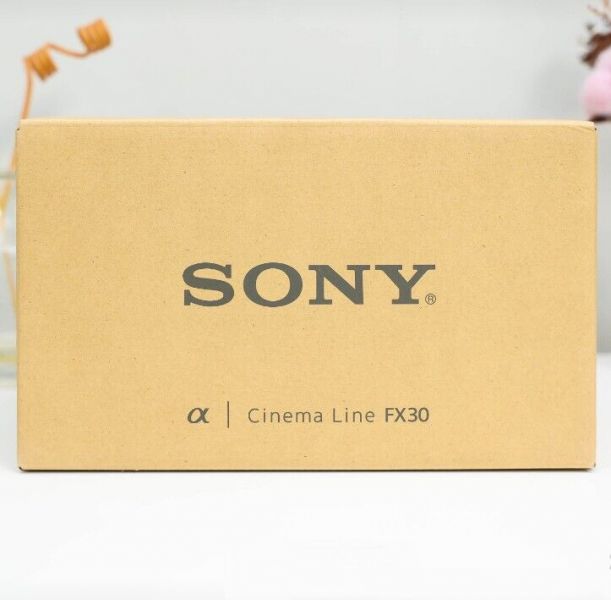 Sony fx 30