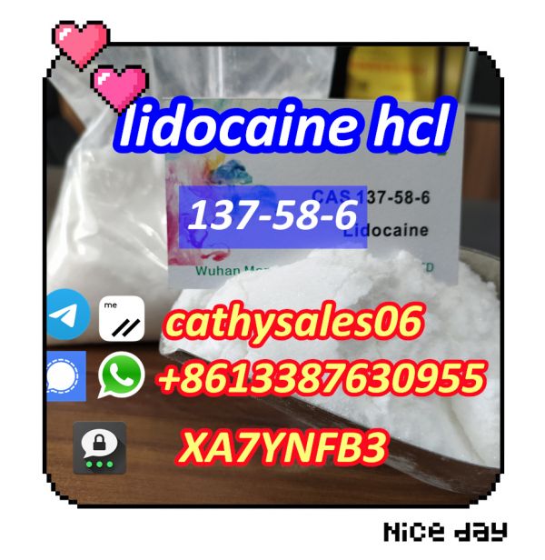 99.9% Purity of Lidocaine HCl Powder for Pain Free CAS 137-58-6