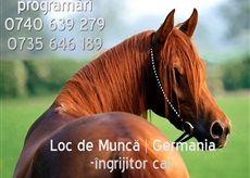 Ingrijitori cai germania