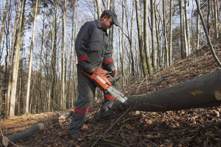 Ultimele locuri de munca pe luna Februarie, in strainatate