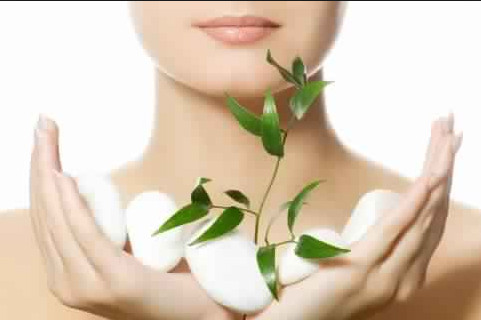 Reprezentanti vanzari produse BIO