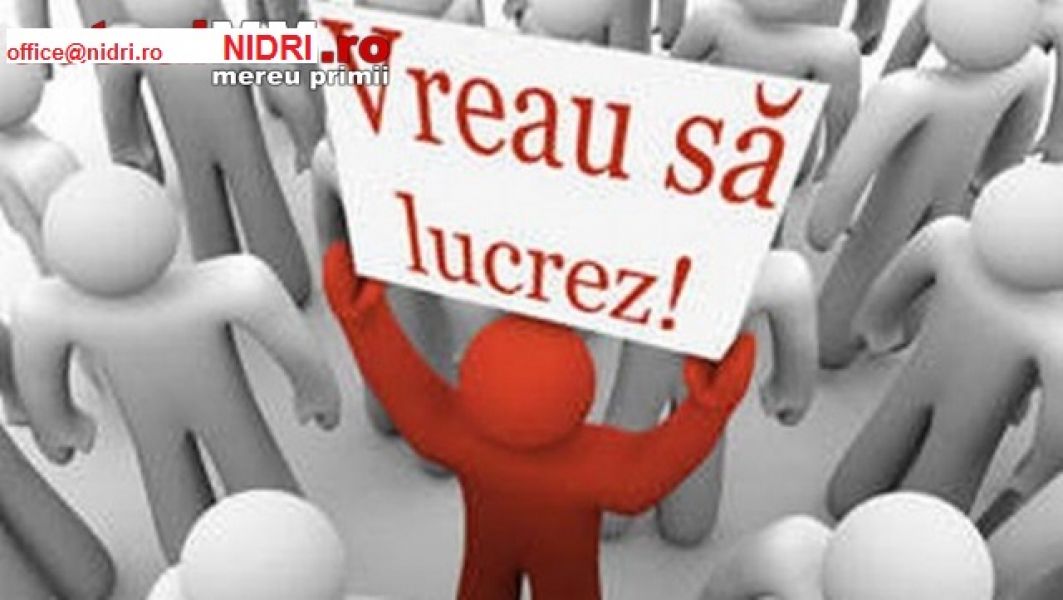 Oferta de munca