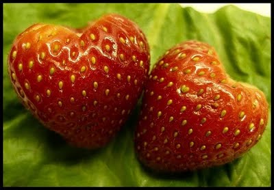 Sere de legume fructe si flori locuri de munca