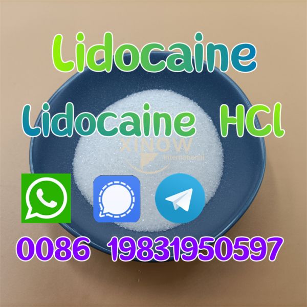  Hot Sale Lidocaine Hcl Powder CAS 73-78-9 