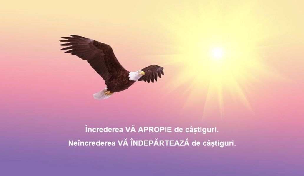 Te ajutăm pas cu pas!