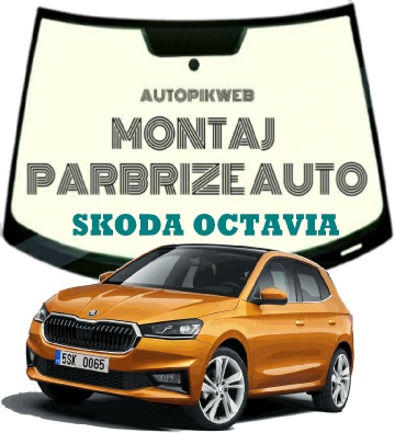 Inlocuire Parbriz Skoda Fabia la domiciliul clientului