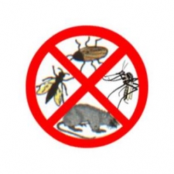 dezinsectie, deratizare, dezinfectie
