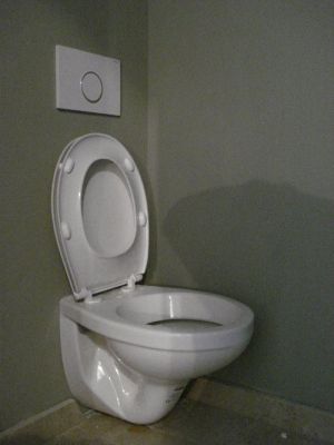 Execut lucrări și reparații de instalații sanitare