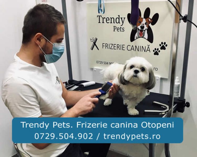 Trendy Pets. Frizerie si cosmetica canina Otopeni