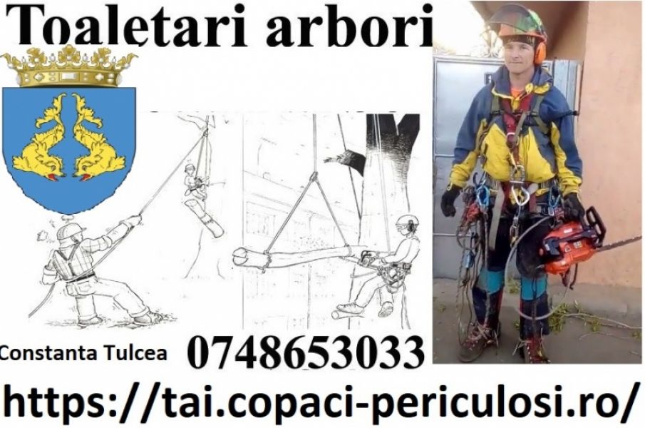 Copaci mari Constanta