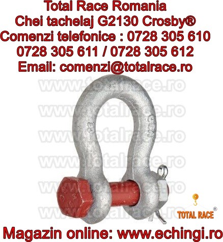 Chei tachelaj omega forjate 55 tone G2140 Crosby®