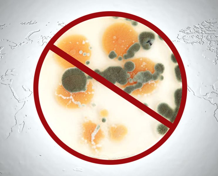 Igienizare și dezinfectare locuințe și instalații de climatizare