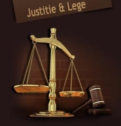 infiintez firme ieftin