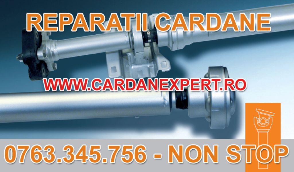Reparatie Cardan SCANIA