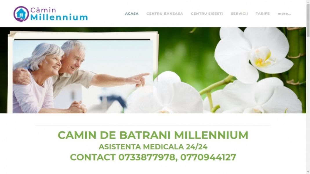 CAMIN de batrani millenium