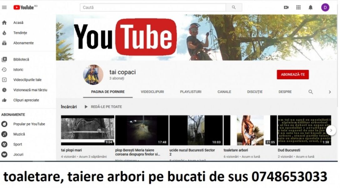 Copaci mari Constanta