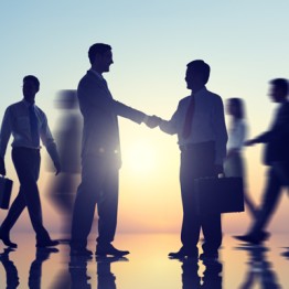 Servicii de Paza si Protectie