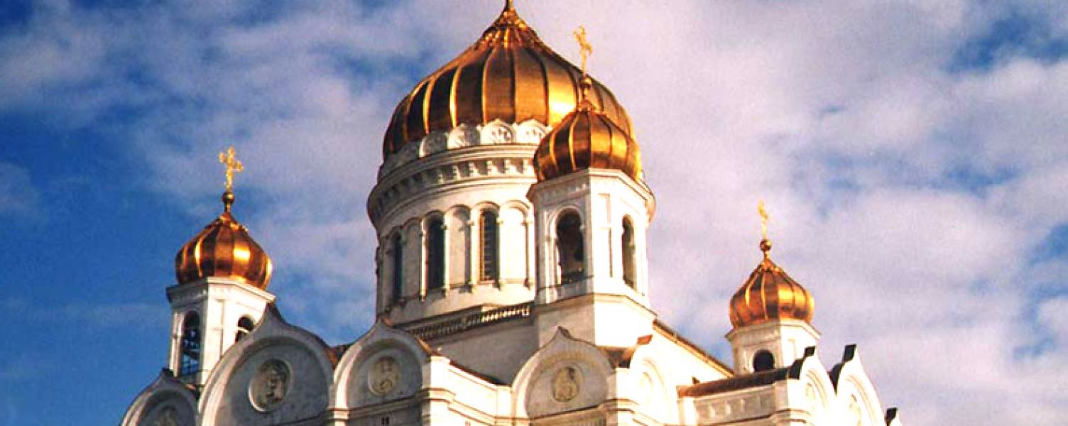 Foi metalice din otel inoxidabil de culoarea aurului