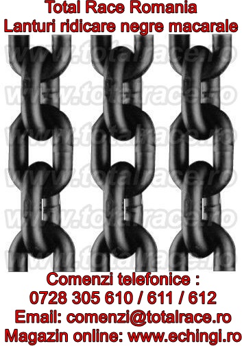 Lanturi industriale si dispozitive din lant